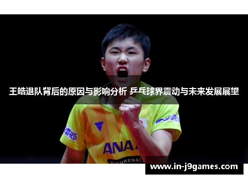 王皓退队背后的原因与影响分析 乒乓球界震动与未来发展展望