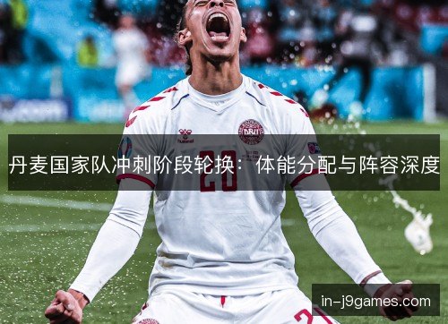丹麦国家队冲刺阶段轮换：体能分配与阵容深度